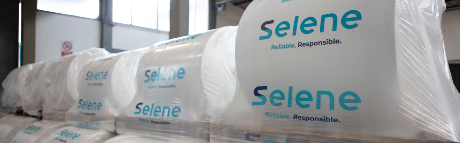Selene logo